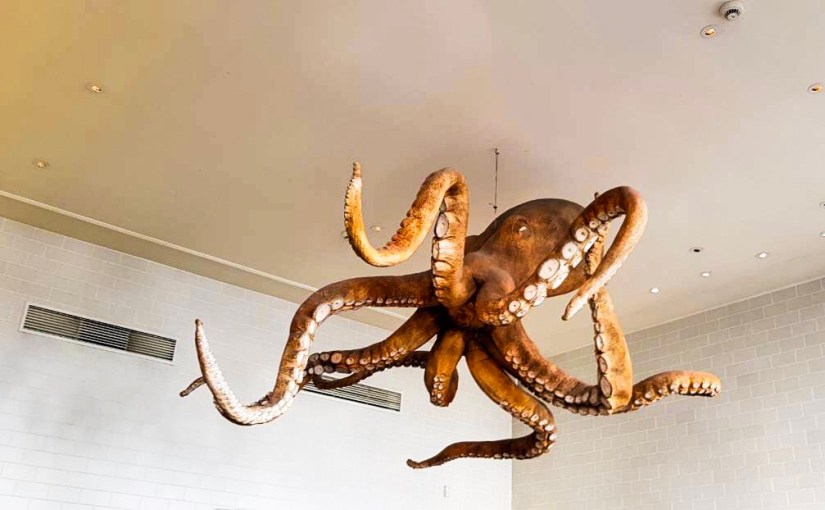 The culinary exploration of Lisbon (part&nbsp;II)